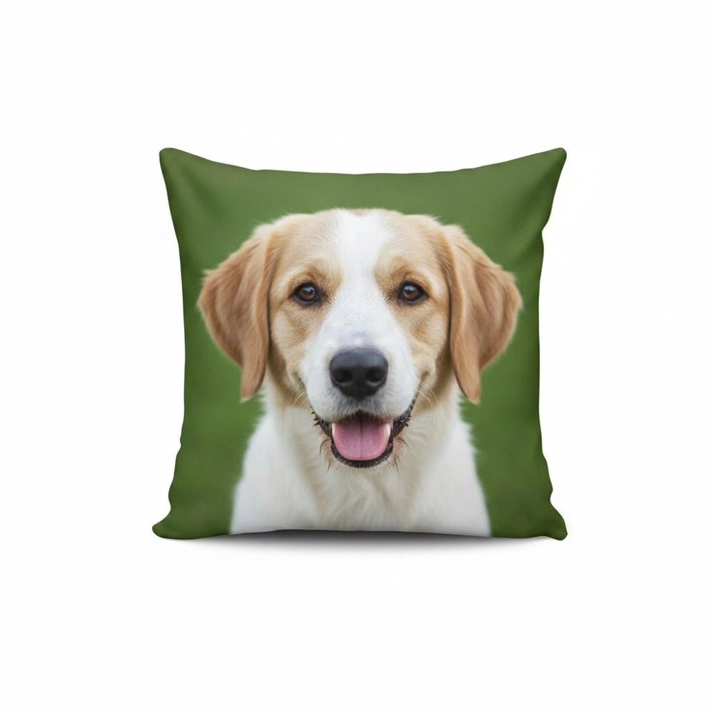 gmp:listing-005-4ae491bbff-bg.webp