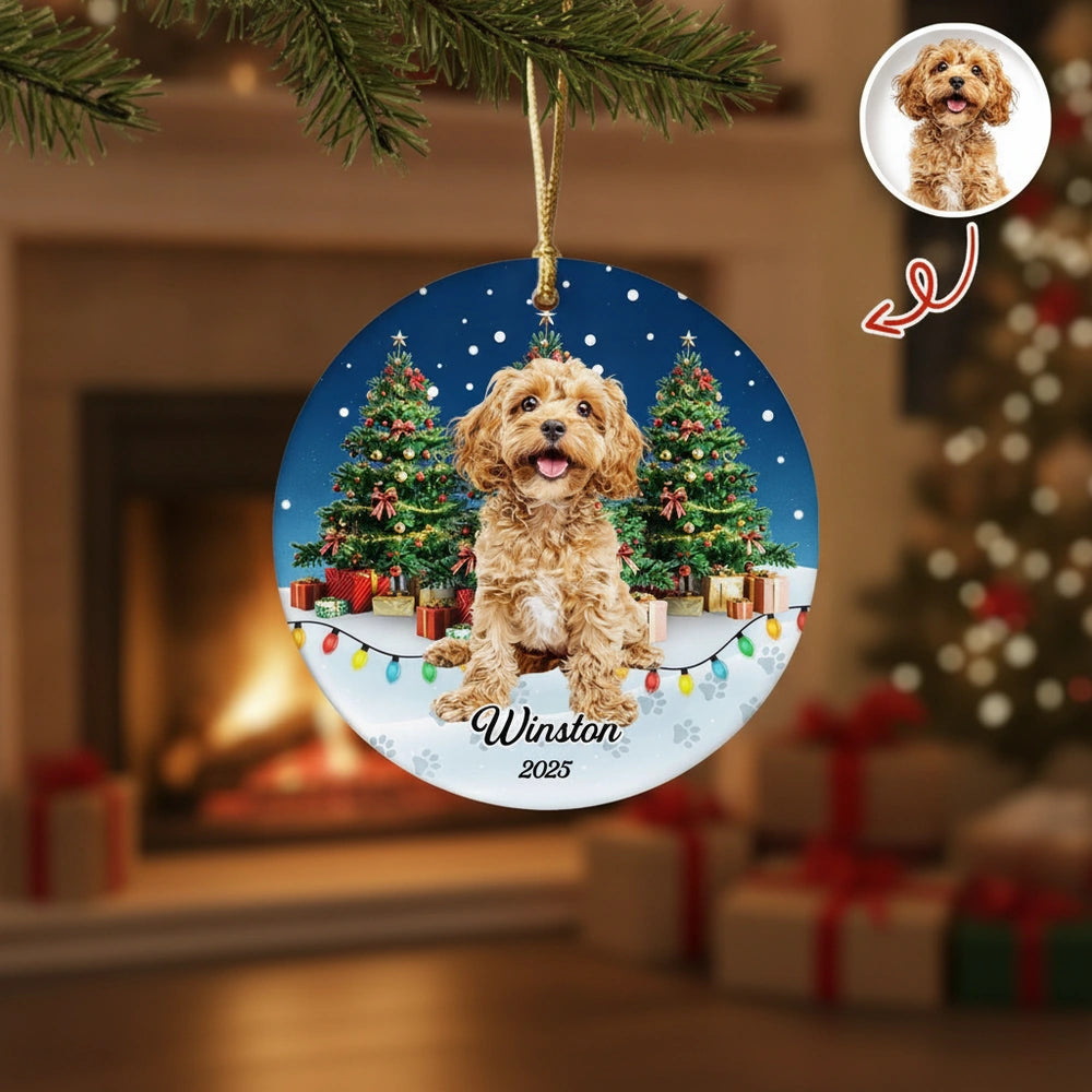gmp:listing-005-d428c48850-bg.webp