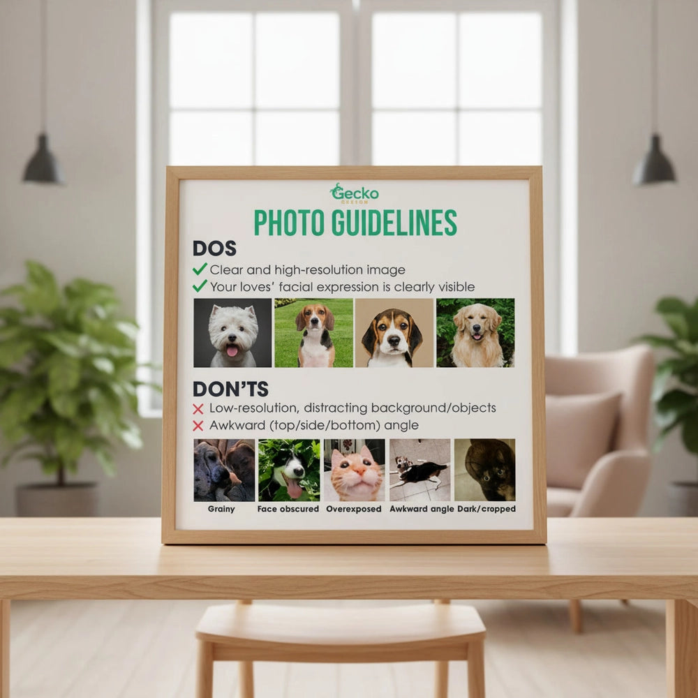 gmp:listing-005-e60281cbb9-bg.webp