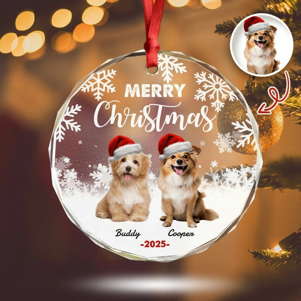 gmp:listing-006-1c98ad5681-bg.webp