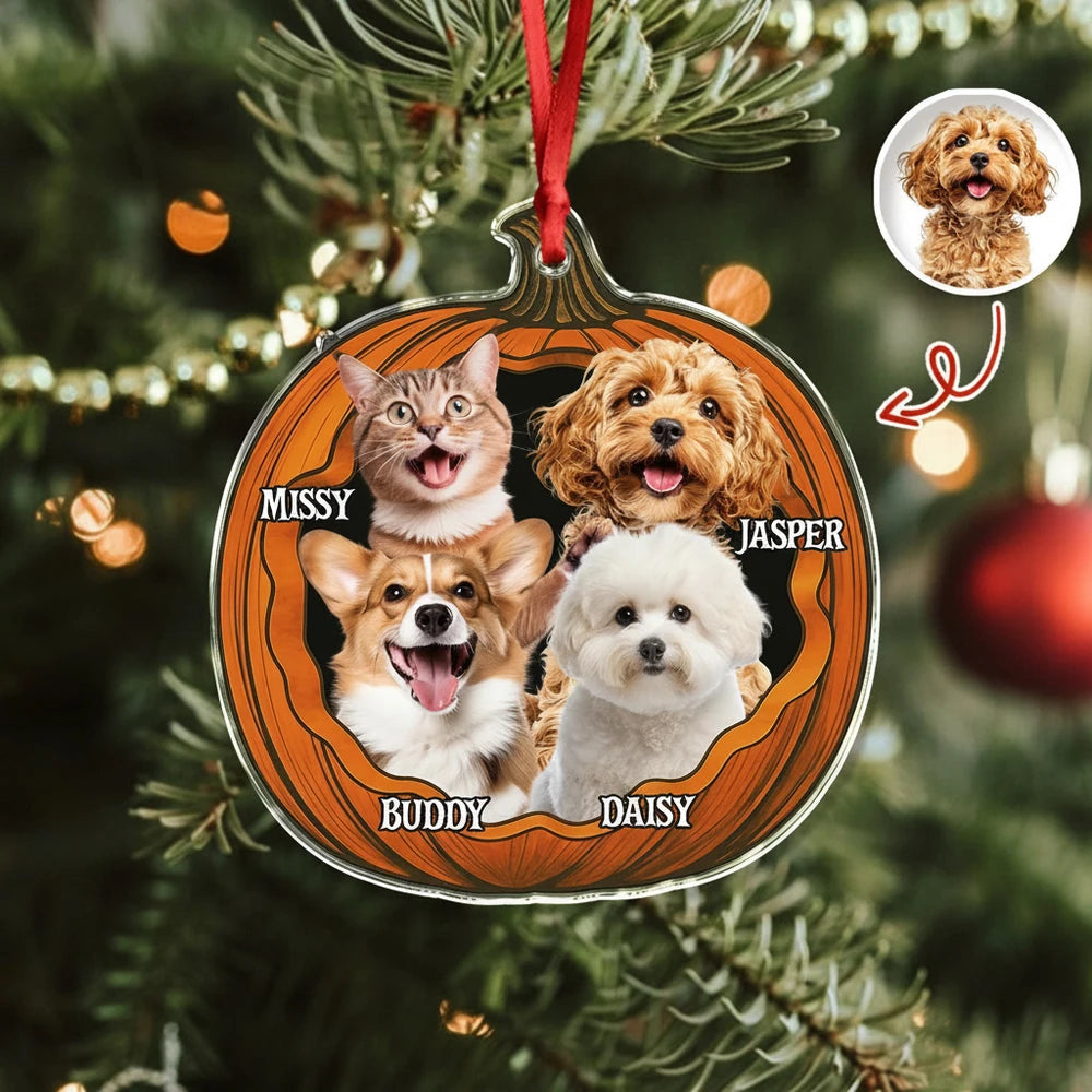 gmp:listing-006-ca8226bb84-bg.webp