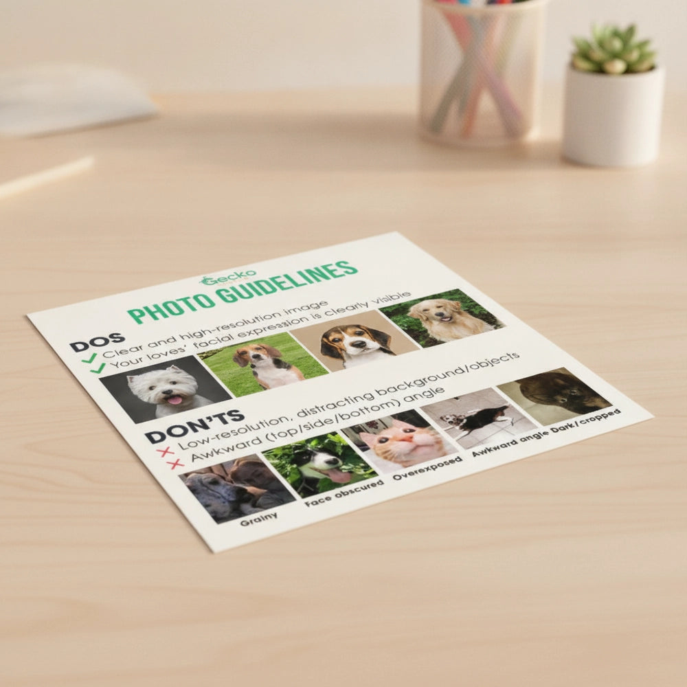 gmp:listing-007-2fed19b1fe-bg.webp