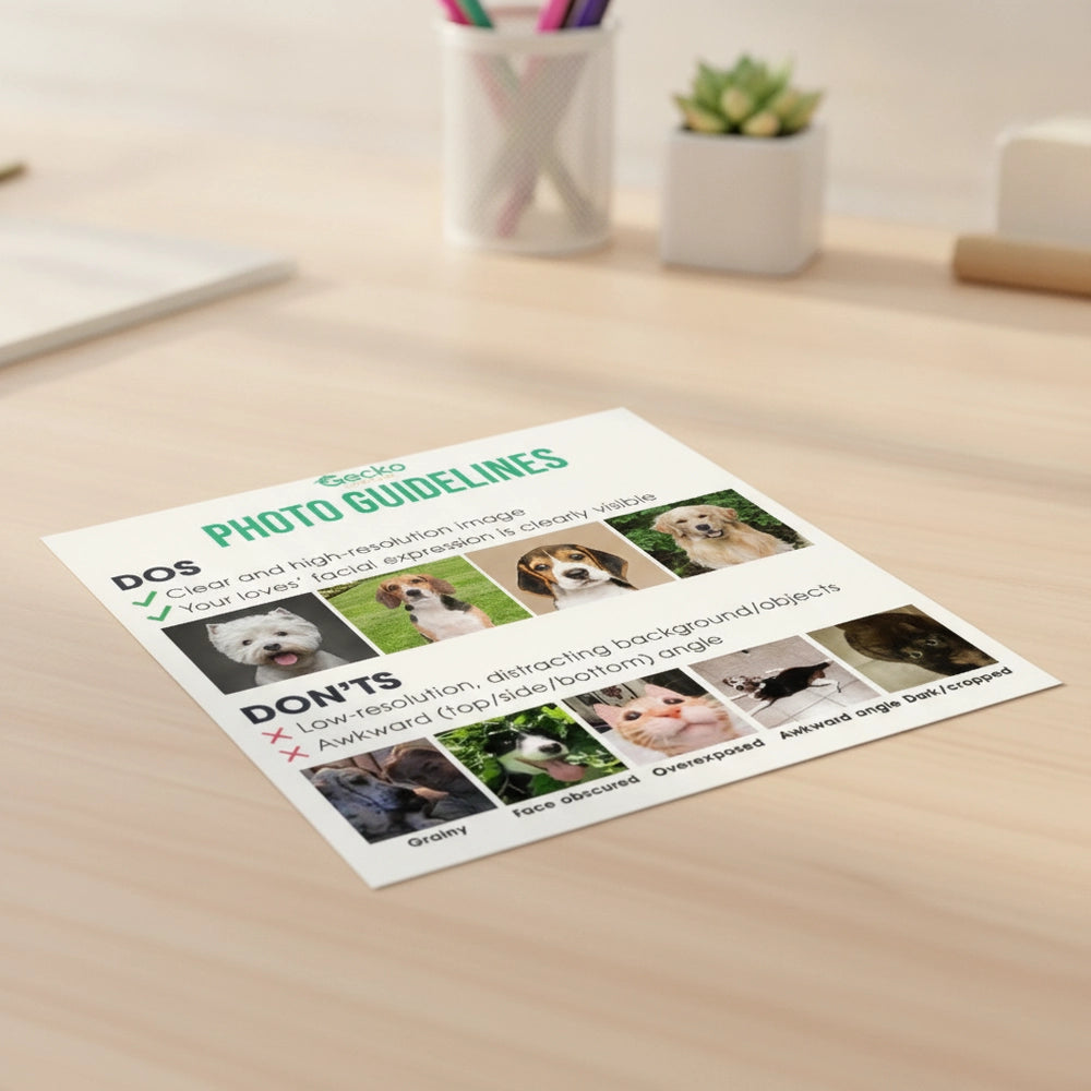 gmp:listing-007-5a5db137a8-bg.webp