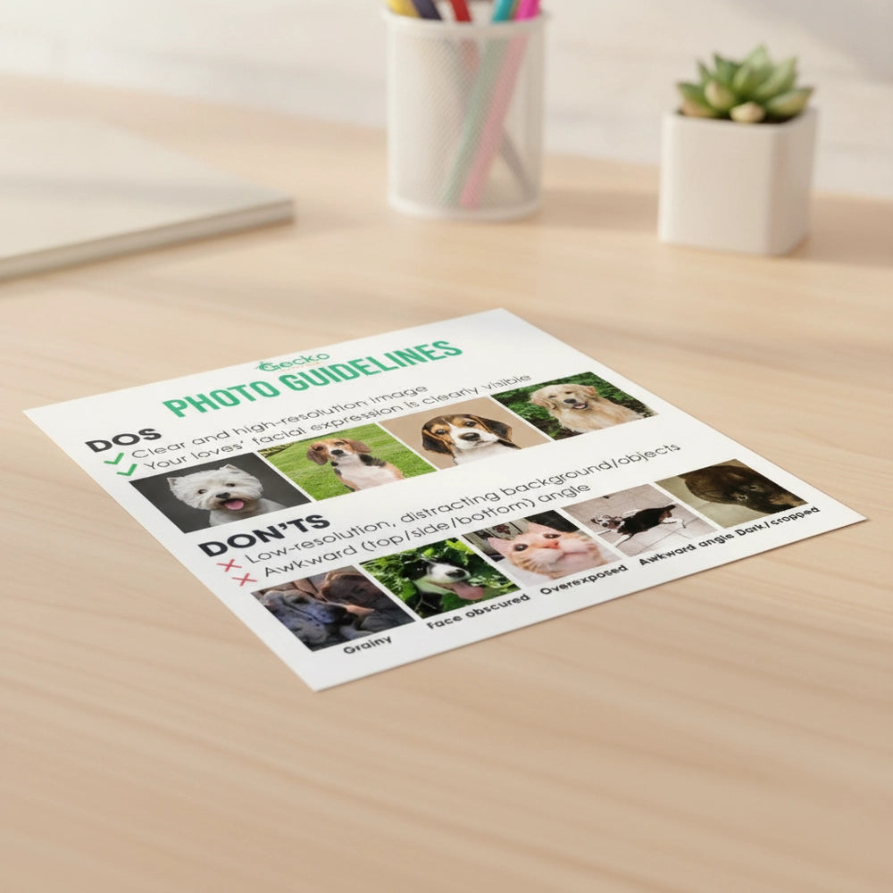 gmp:listing-007-5f1a6ef214-bg.webp