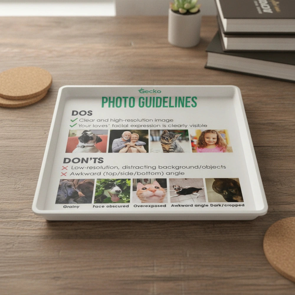 gmp:listing-007-b897d6161a-bg.webp