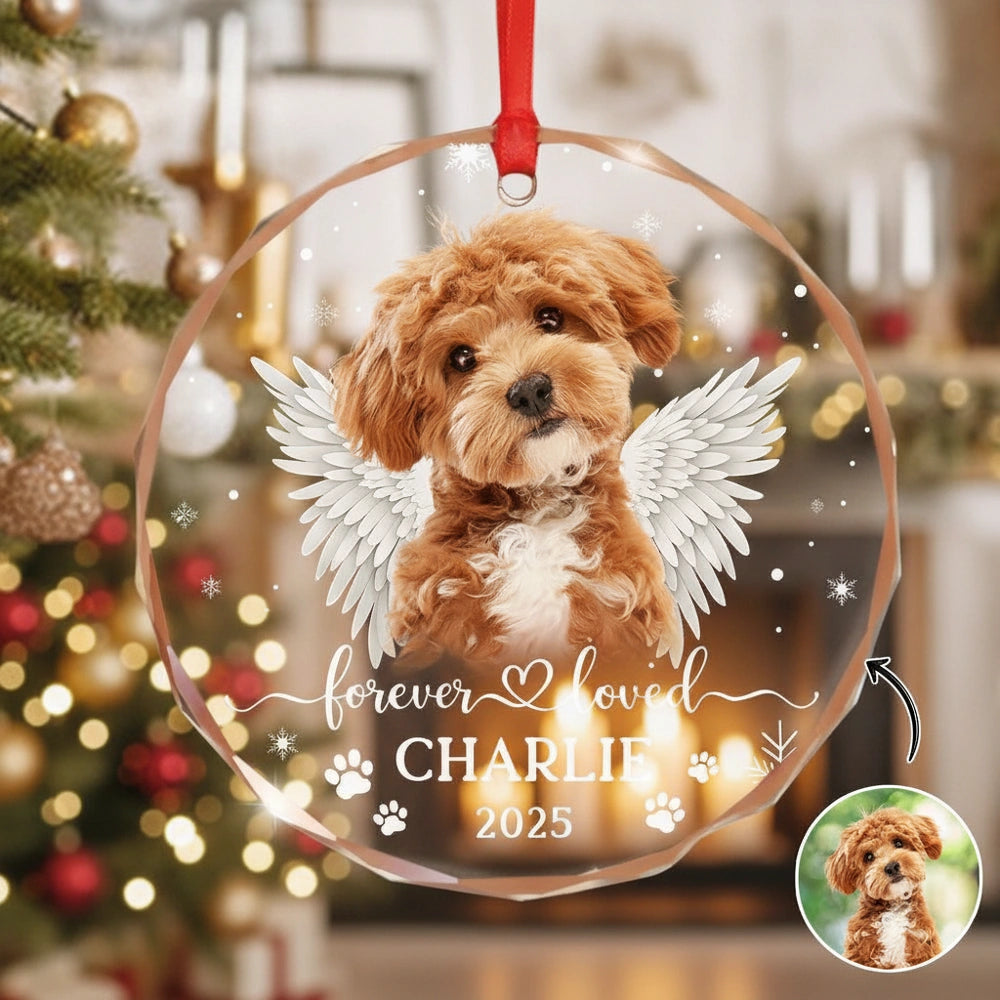 gmp:listing-008-73a666df83-bg.webp