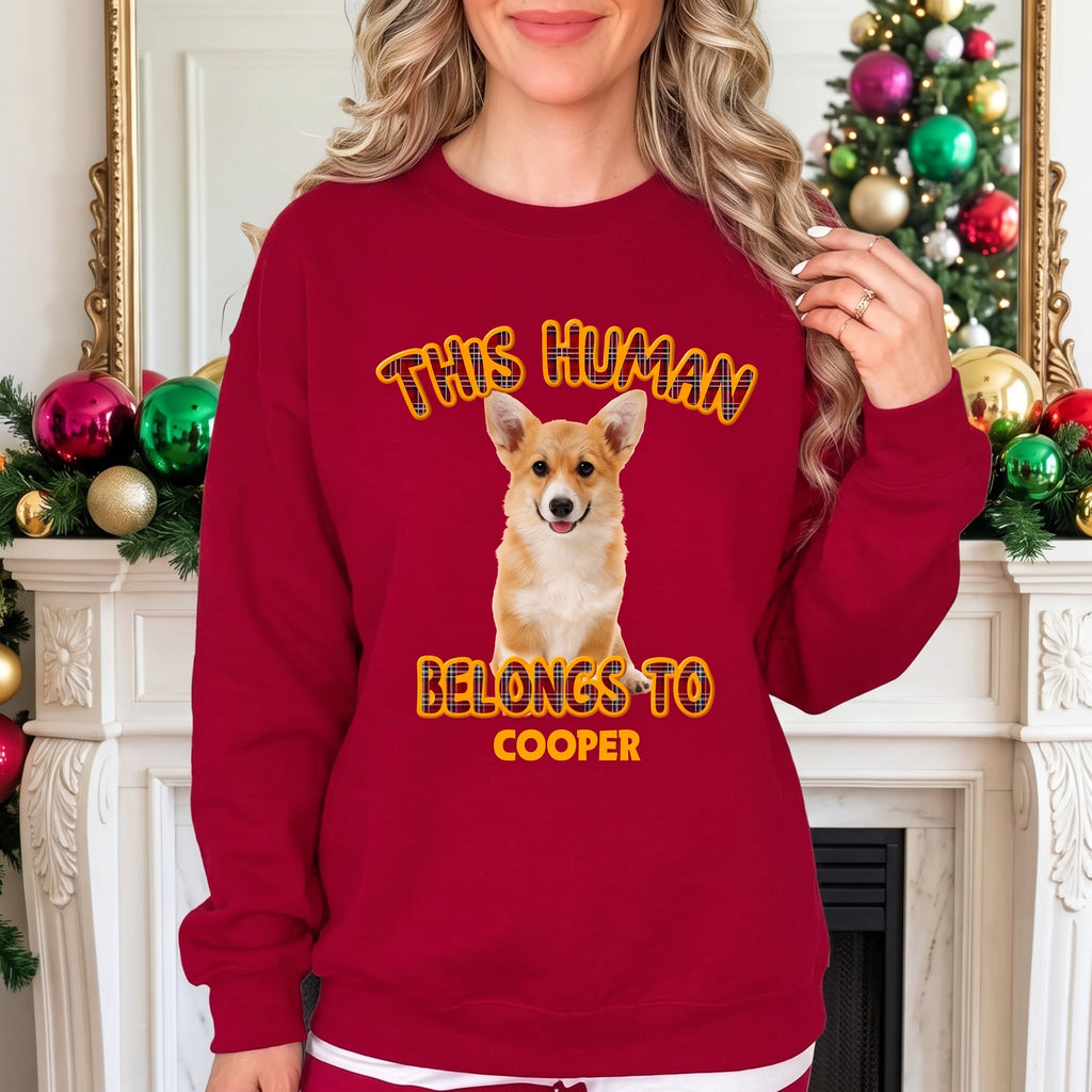 Custom Photo Upload Christmas Sweatshirt This Human Belongs To AY3UK