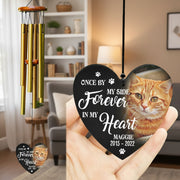 Custom Dog Cat Photo If Love Could Have Kept You Here Memori