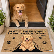 gmp:source-001-0779bdd340-original.webp