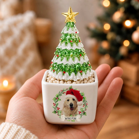 gmp:source-001-2c4f271069-original.webp