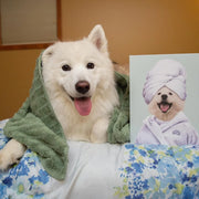 gmp:source-001-3e37dce3f0-original.webp