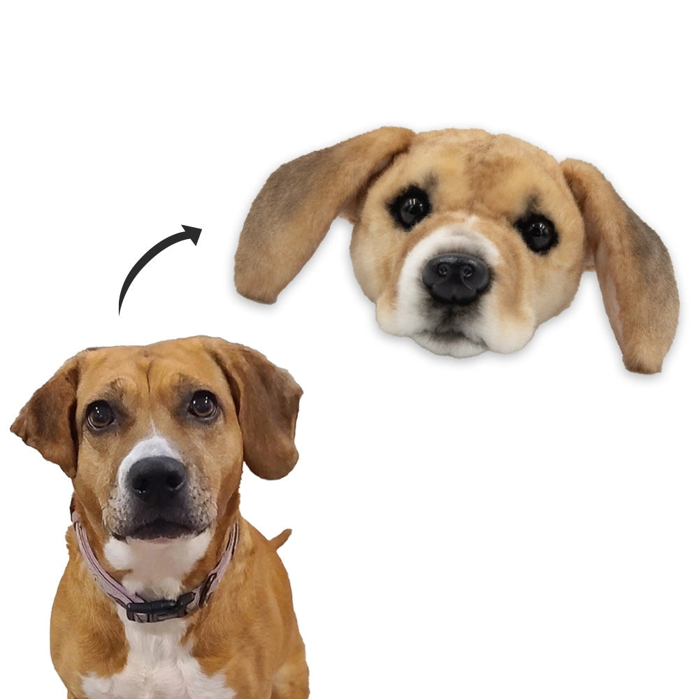 gmp:source-001-417181e7c8-original.webp