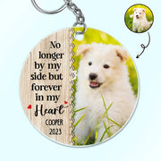 gmp:source-001-4374b81fc9-original.webp