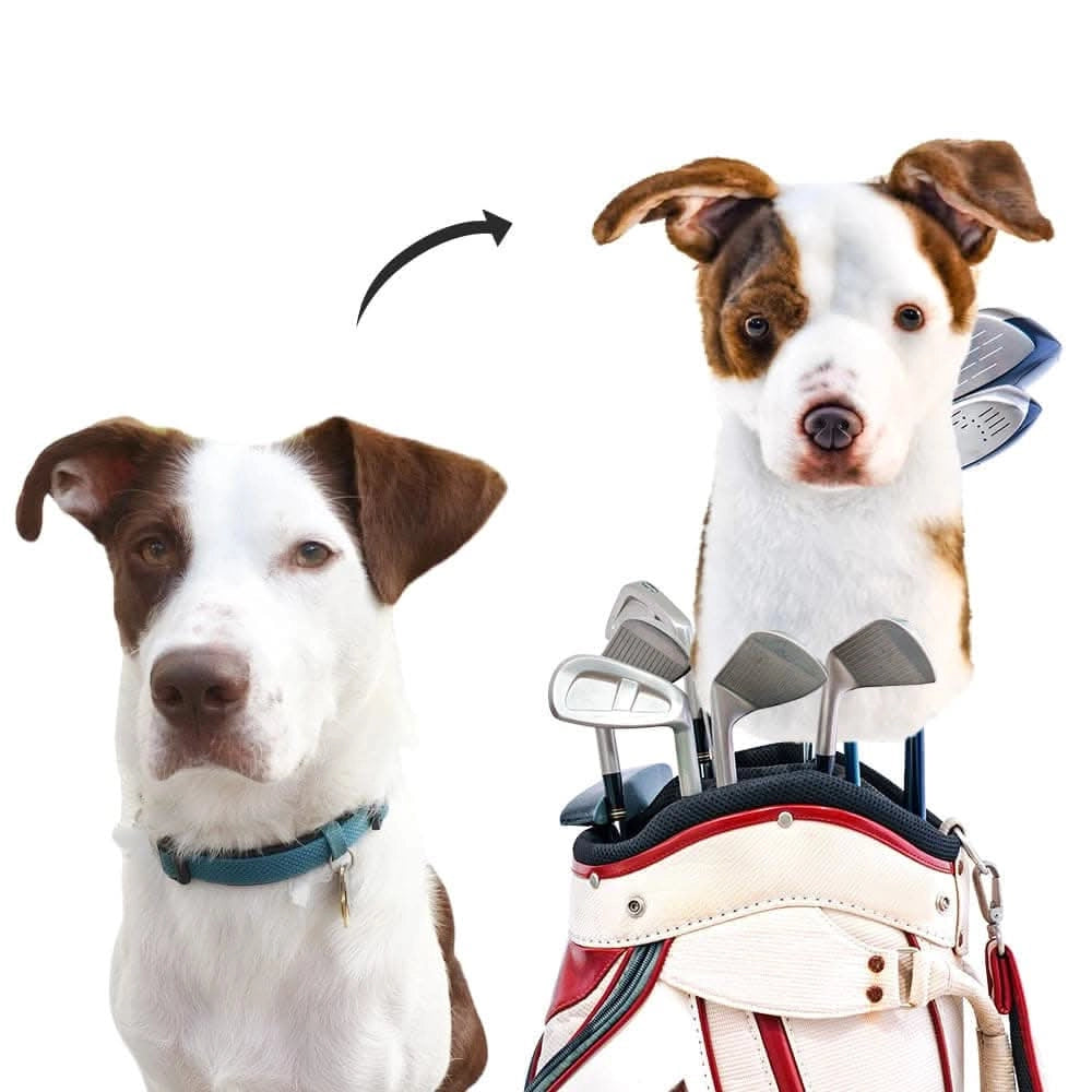 gmp:source-001-6551d93951-original.webp