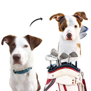 gmp:source-001-6551d93951-original.webp