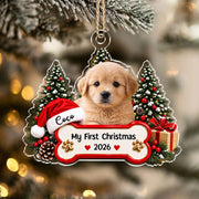 gmp:source-001-7757cdf5e9-original.webp
