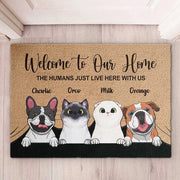 gmp:source-001-b26c867925-original.webp