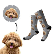 gmp:source-001-d36b233831-original.webp