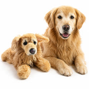 gmp:source-001-dcb678a6f1-original.webp