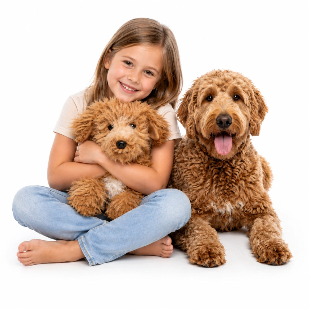 gmp:source-001-dce60a0fd8-original.webp