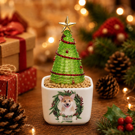 gmp:source-002-97184bb70e-original.webp