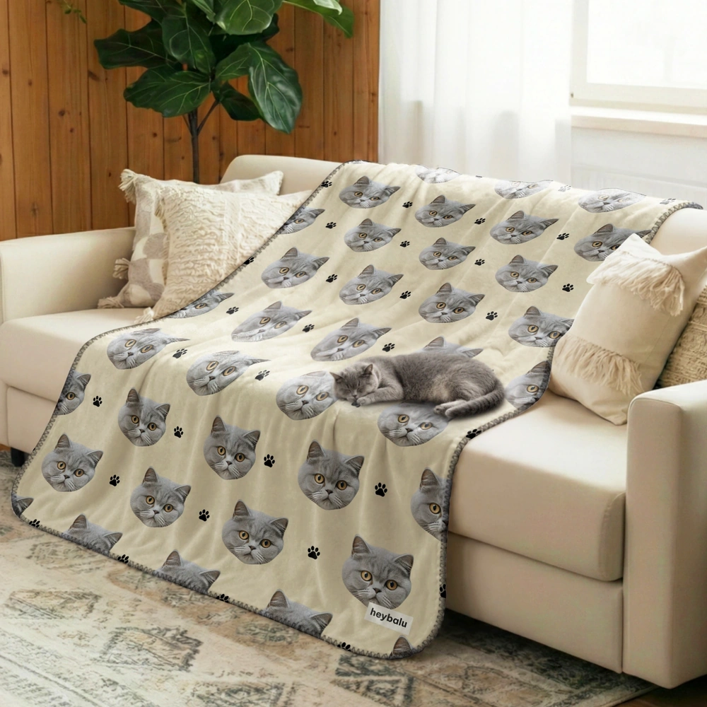 gmp:source-003-1155a8ab39-original.webp
