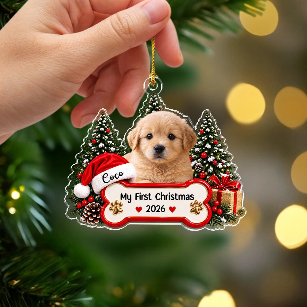 gmp:source-004-212df2e6d9-original.webp