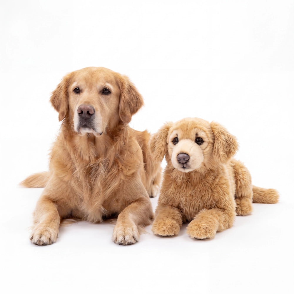 gmp:source-004-74d4ffb1d0-original.webp