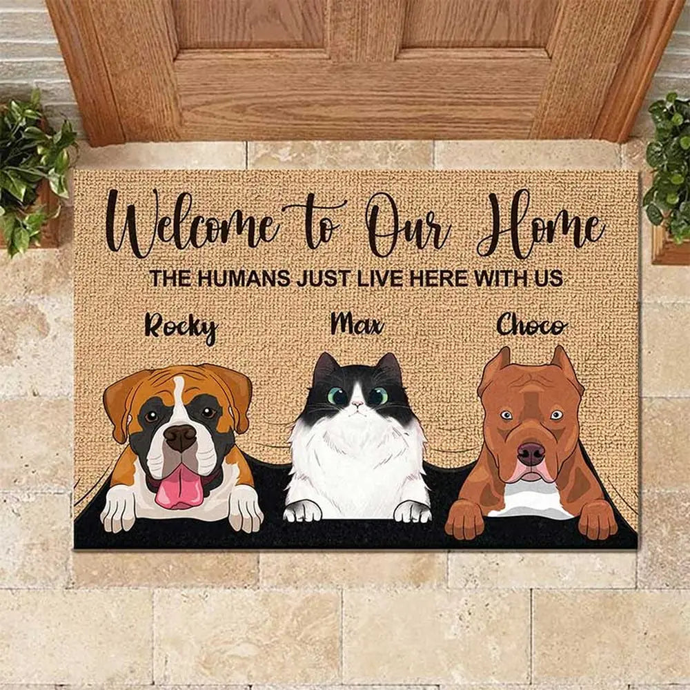 gmp:source-004-c379a3b960-original.webp