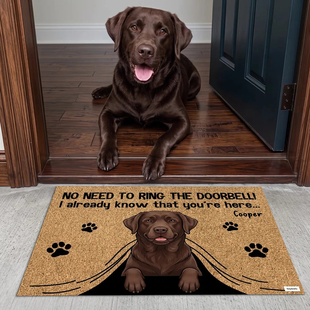 gmp:source-005-24d6a3b6b8-original.webp