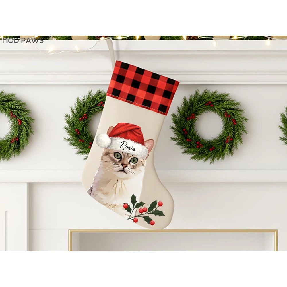gmp:source-005-c23c14bbfb-original.webp