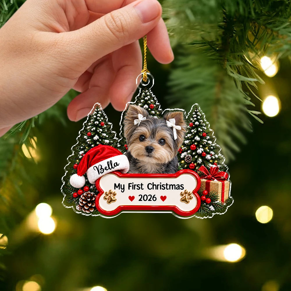 gmp:source-006-c164fa2346-original.webp